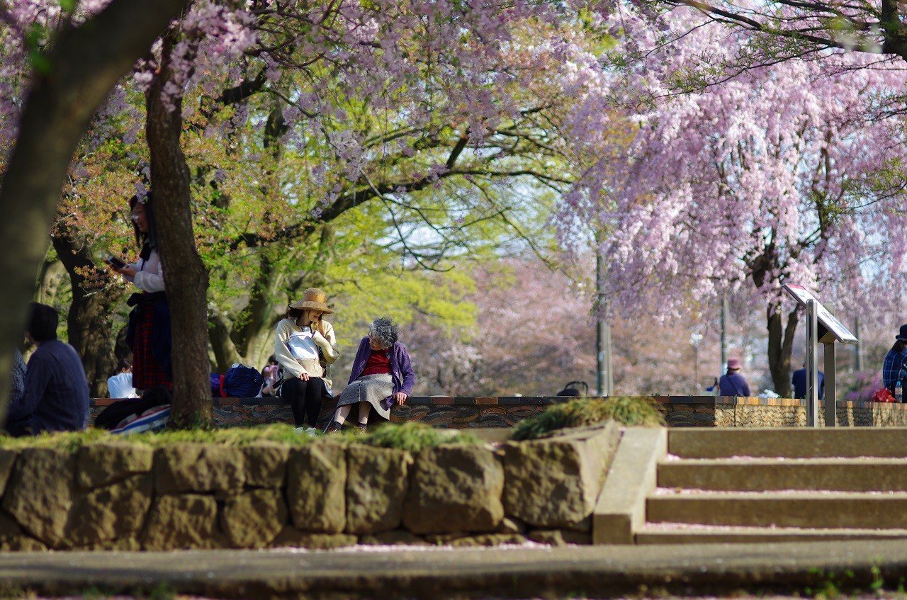 🏛️ 무사시 고쿠분지 터(무사시코쿠분지아토)